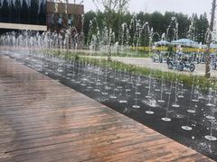 -黄海国家森林公园