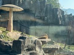 -碧峰峡风景区