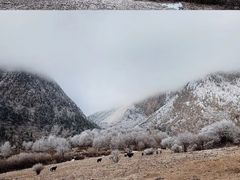 -亚拉雪山风景区