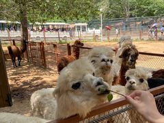 -大连森林动物园