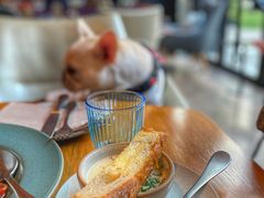-THE CANNERY&JUJU 新鲜海鲜·牛排美食酒廊
