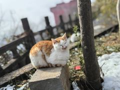 -句容茅山景区