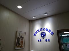 -中农大我爱我爱24h动物医院·中医针灸·猫专科·骨科医疗中心(双井店)