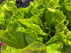 -鹤之乡·齐齐哈尔烤肉·非遗(秋涛路店)