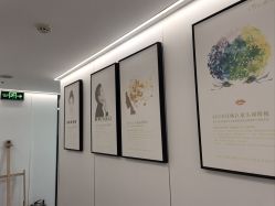 -熙朵美学植发·连锁品牌