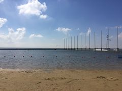 -碧海金沙