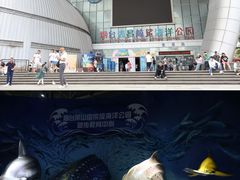 -烟台海昌鲸鲨海洋公园