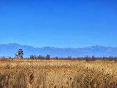 -野鸭湖国家湿地公园