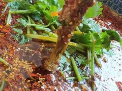 -胖大姐黄辣丁鱼庄(新津店)