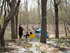 -东郊湿地公园