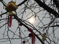 -钱王祠