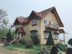 -黄色小屋