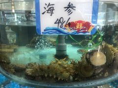 -抹直口特色菜馆(一店)