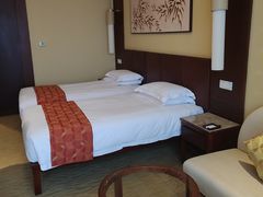 -京津新城温德姆至尊酒店(珠江大道店)