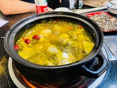 -蘑统田下·野生菌火锅