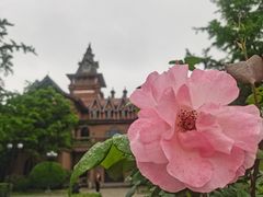 -上海影视乐园