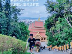 -西双版纳勐泐文化旅游区