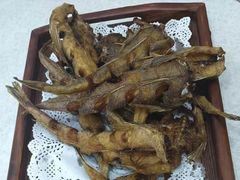 -渔家小院观海海肠捞饭地方菜(环海中路店)