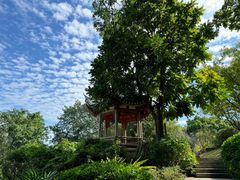 -乌山风景区