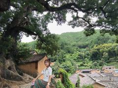 -杨家堂村