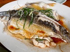 -百里鲜(羚羊峡古栈道森林公园店)
