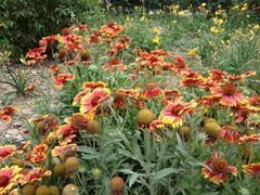 景观位-劳模山庄