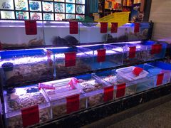 水产区-金海湾海鲜排档(朱家尖店)