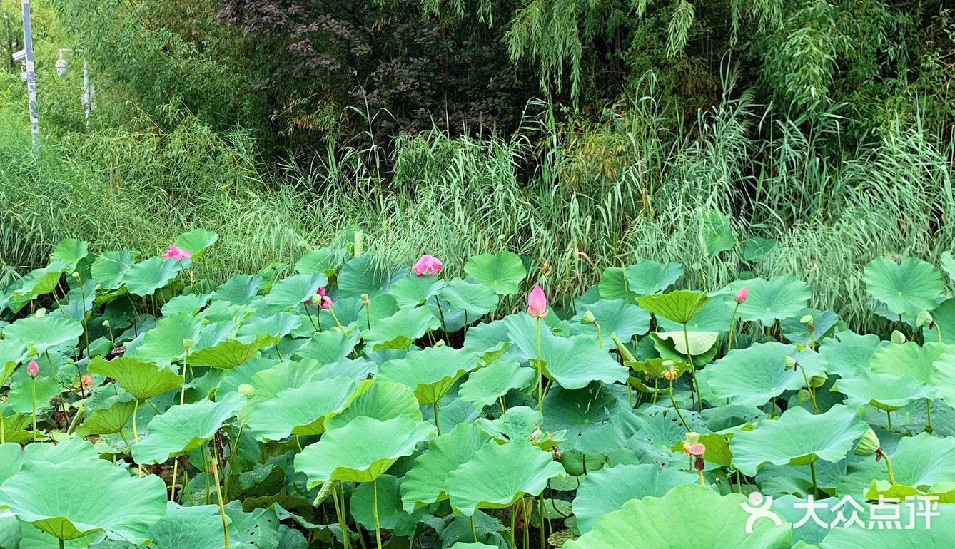 旅行｜夏天就是要去温都水城浪一次