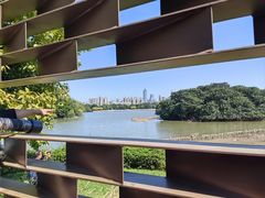 -海珠湖公园