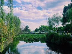 -无锡蠡湖国家湿地公园-蠡园