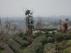 -樱桃山旅游景区