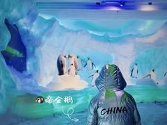 -海合安天津极地海洋公园
