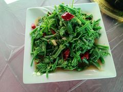 -照金特色农家乐