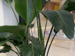 -雲己推拿院·养生SPA(江北龙湖天街店)