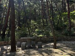 -金龙寺国家森林公园