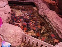 -沈阳海洋探索中心