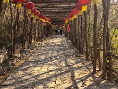 -井塘古村