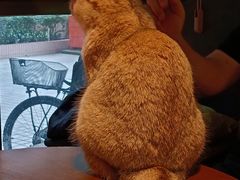 -咖法森林·咖啡  酒吧(天河店)