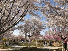 -古柏渡飞黄旅游区