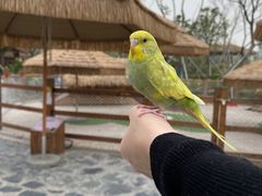 -珠海海泉湾神秘岛亲子乐园