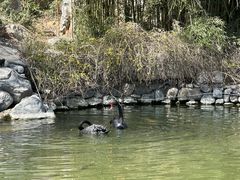 -天毓山庄·餐厅
