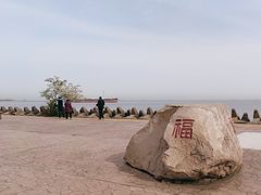 -上海滨江森林公园