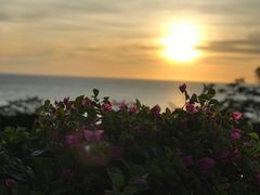 -海南棋子湾开元度假村·祺咖啡自助餐厅