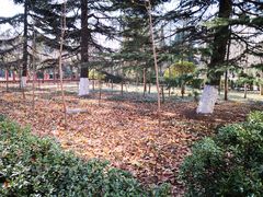 -山东大学(千佛山校区)