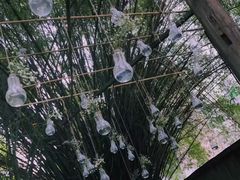 -陶享时光西餐·下午茶·竹林花园(新城店)