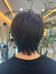 -秦·专注剪发
