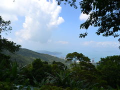 -太平山餐厅(山顶道店)