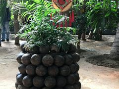 -北戴河集发农业梦想王国