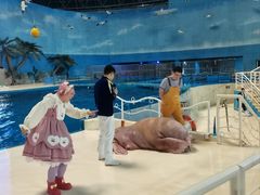 -泉城欧乐堡海洋极地世界
