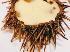 -海胆小馆(东北水饺·春柳店)